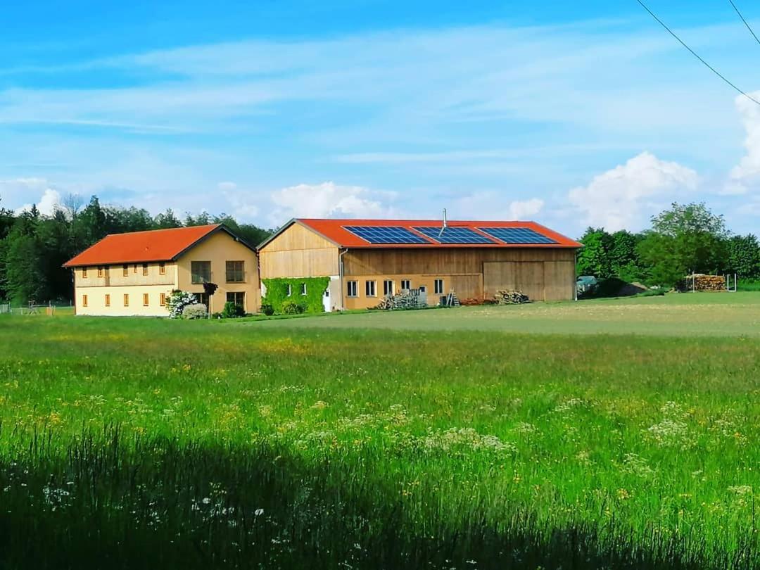 Niedergerner Alpaka Ranch Lejlighed Haiming Eksteriør billede