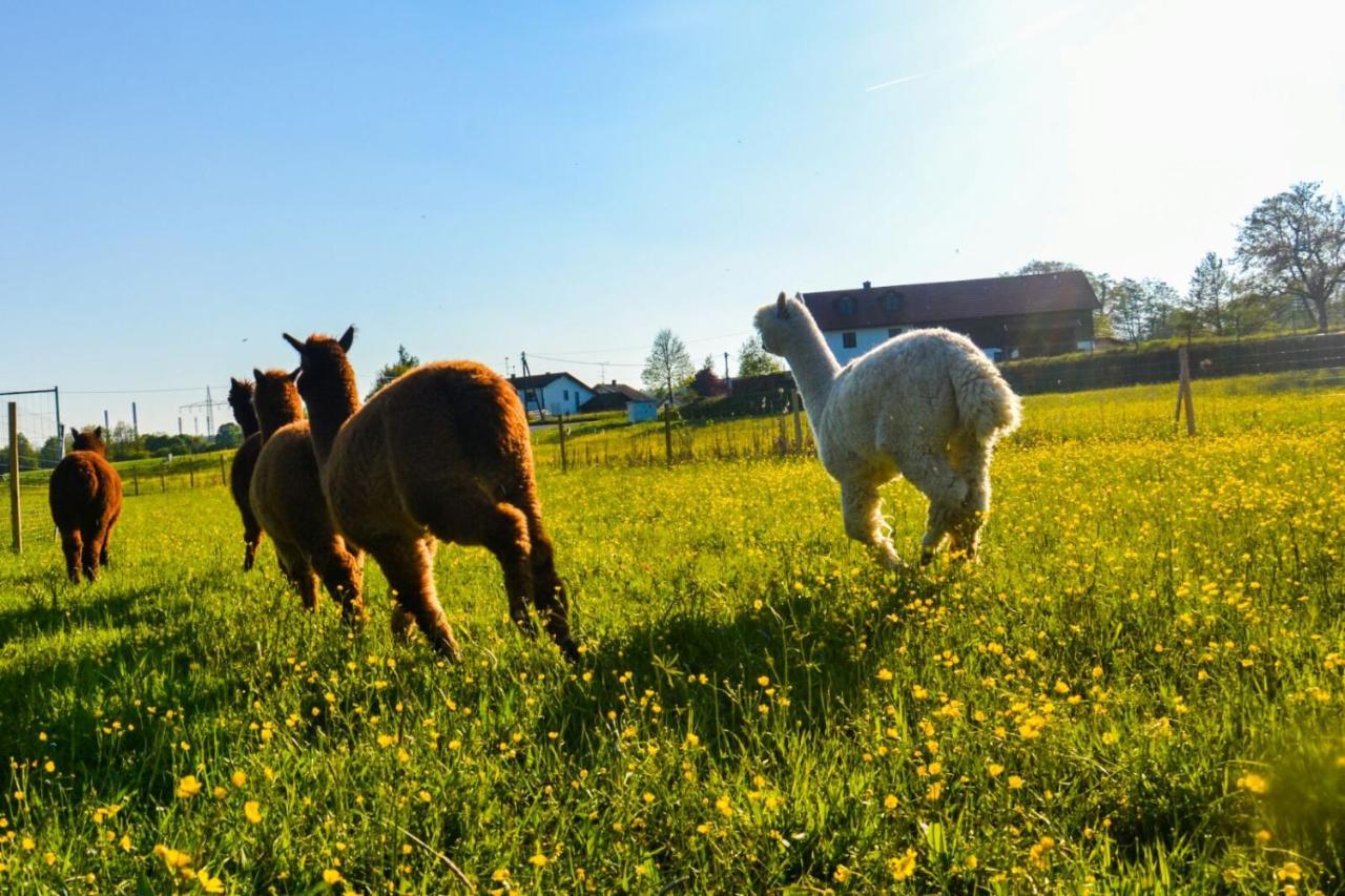 Niedergerner Alpaka Ranch Lejlighed Haiming Eksteriør billede